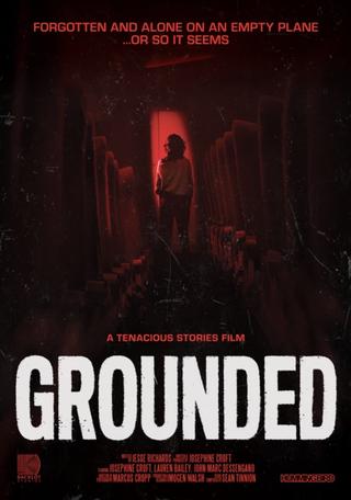 Grounded poster