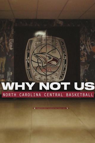 Why Not Us poster