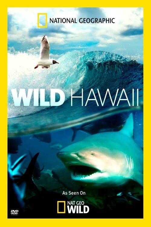 Wild Hawaii poster