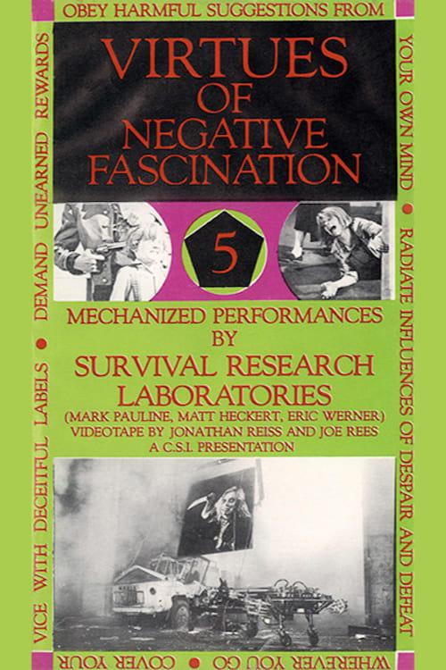 Virtues Of Negative Fascination poster