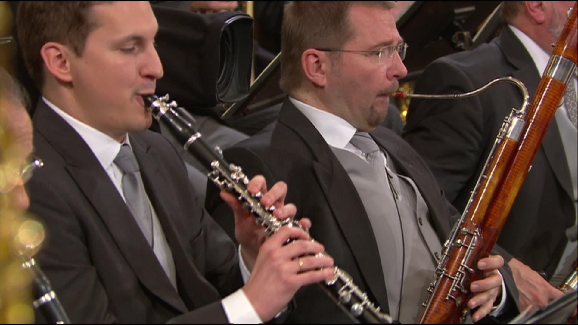 Neujahrskonzert der Wiener Philharmoniker 2015 backdrop