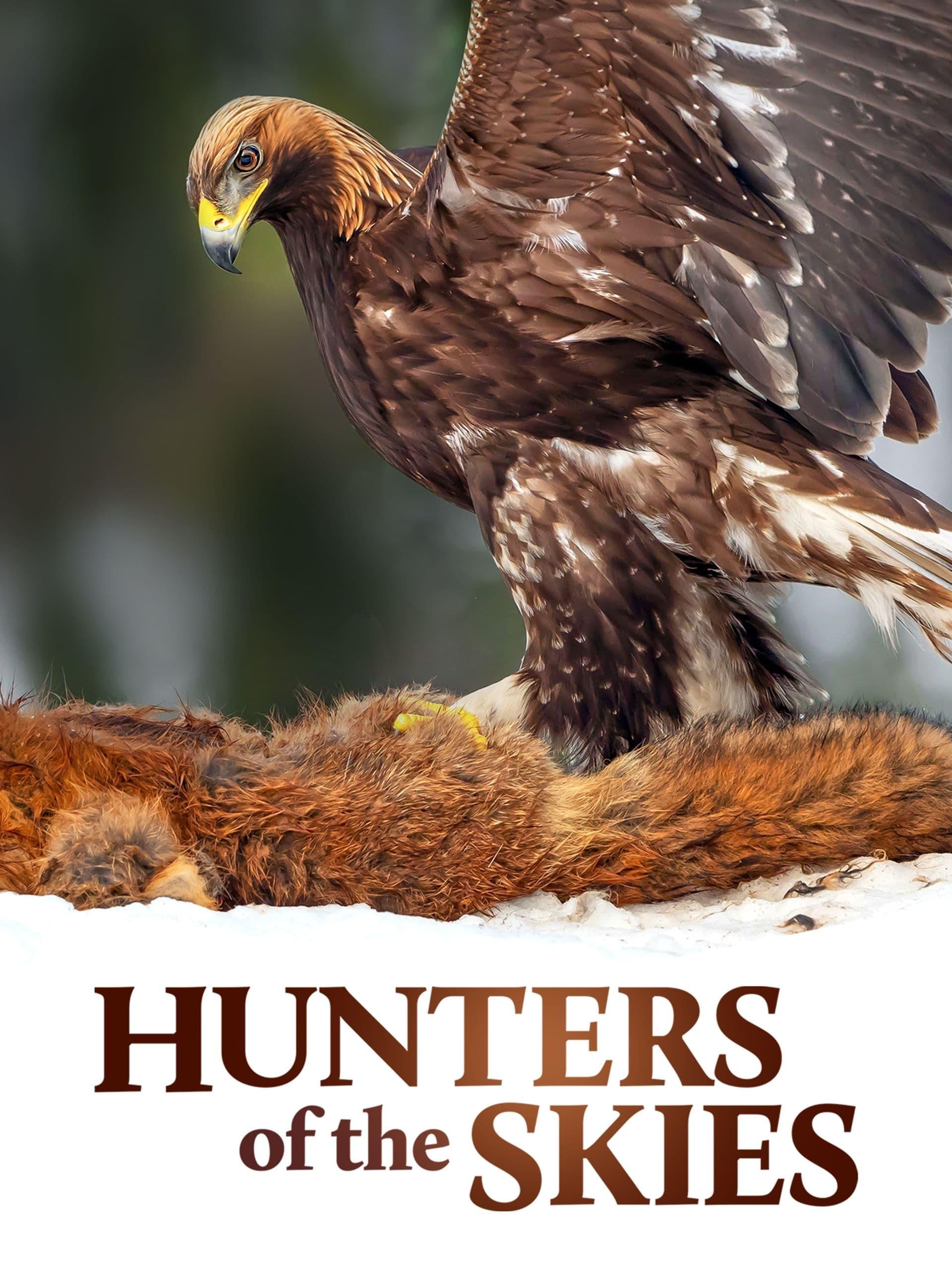 Hunters of the Skies poster