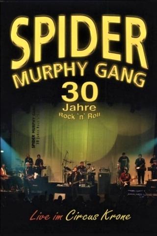 Spider Murphy Gang - 30 Jahre Rock'n'Roll poster