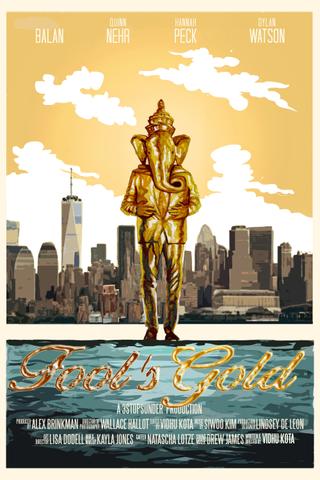 Fool's Gold poster