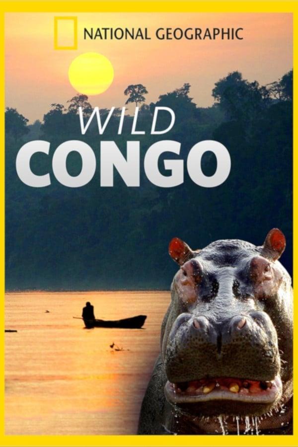 Wild Congo poster