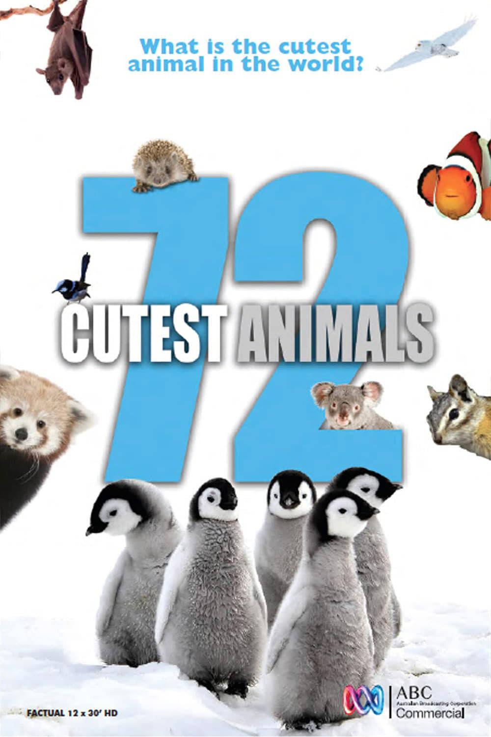 72 Cutest Animals poster
