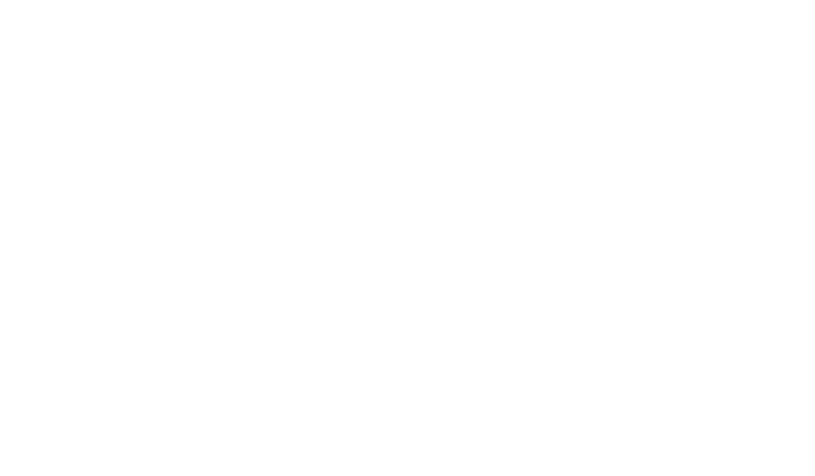 Shadow Parties logo