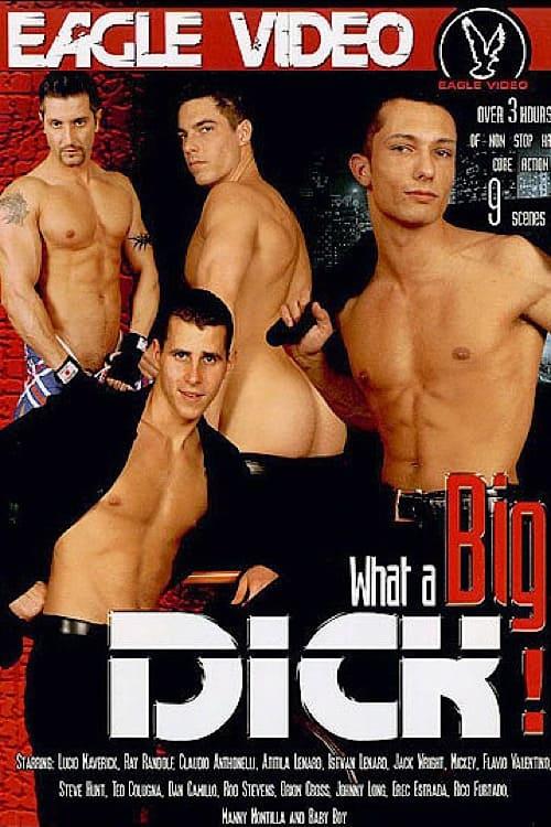 What A Big Dick! poster