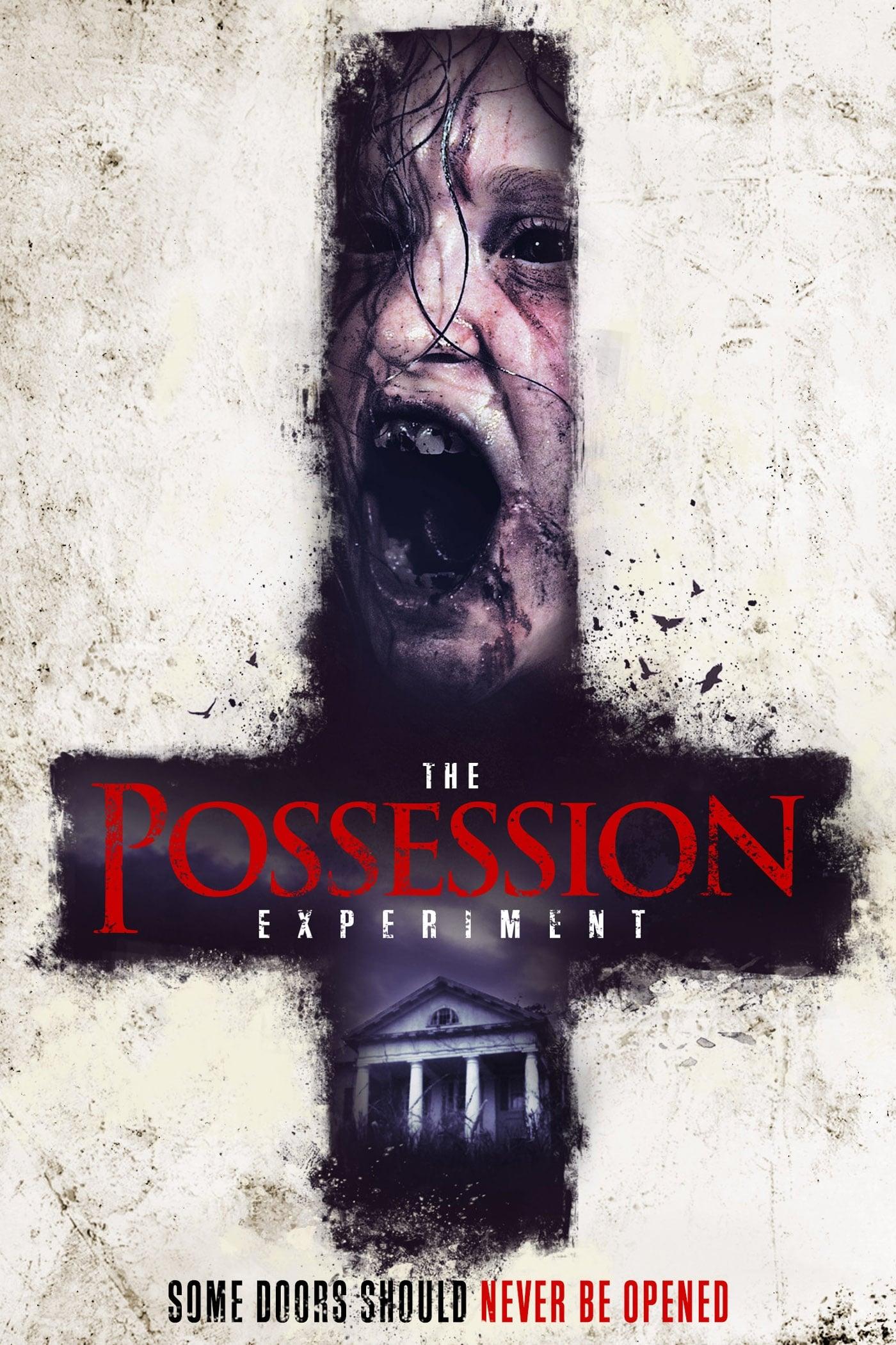 The Possession Experiment poster