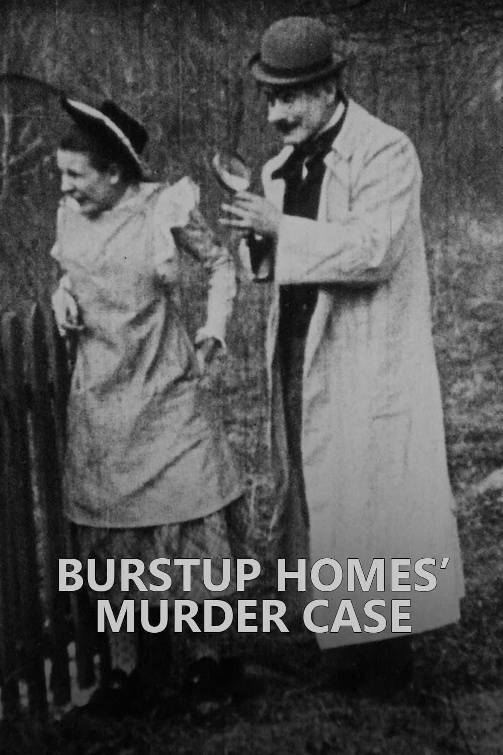 Burstup Homes' Murder Case poster