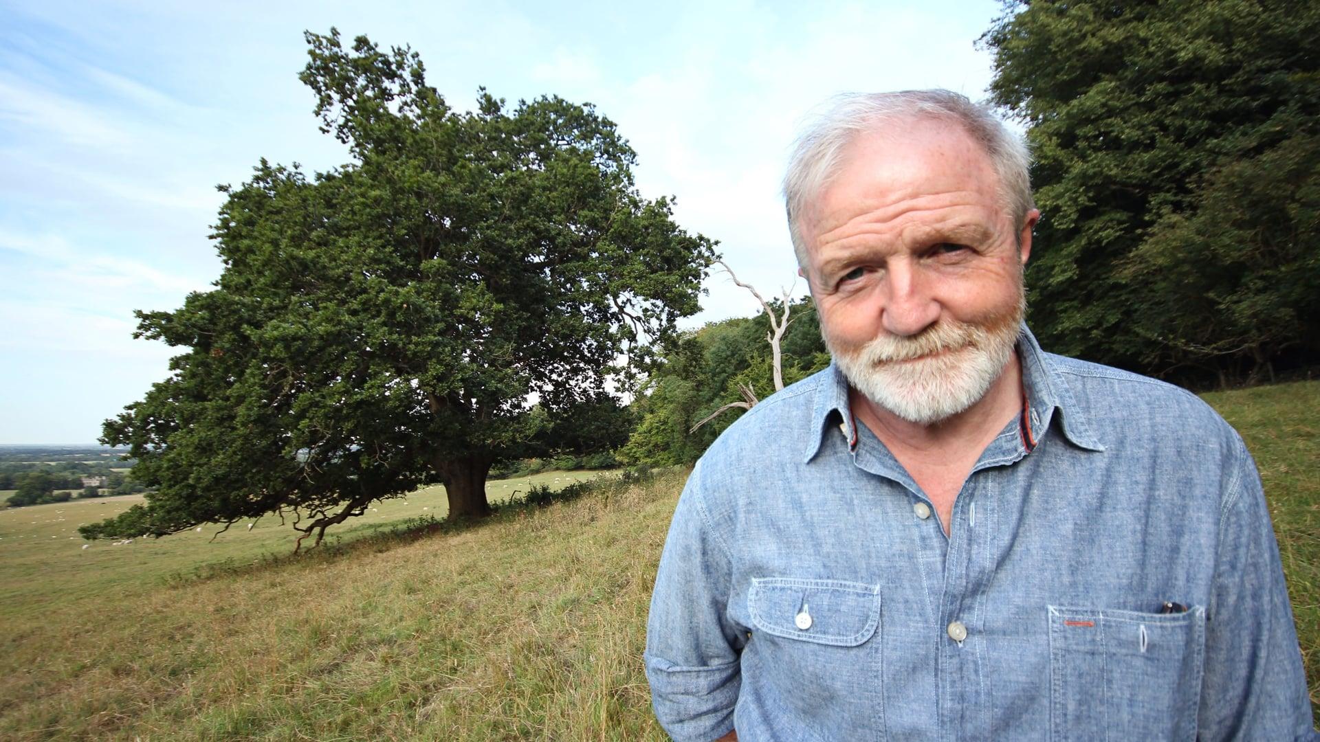 Oak Tree: Nature's Greatest Survivor backdrop