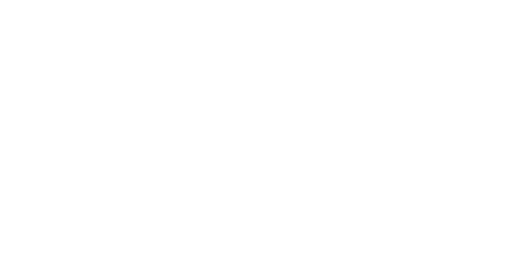 The Promise logo