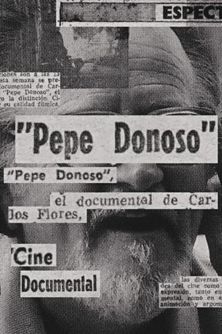 Pepe Donoso poster