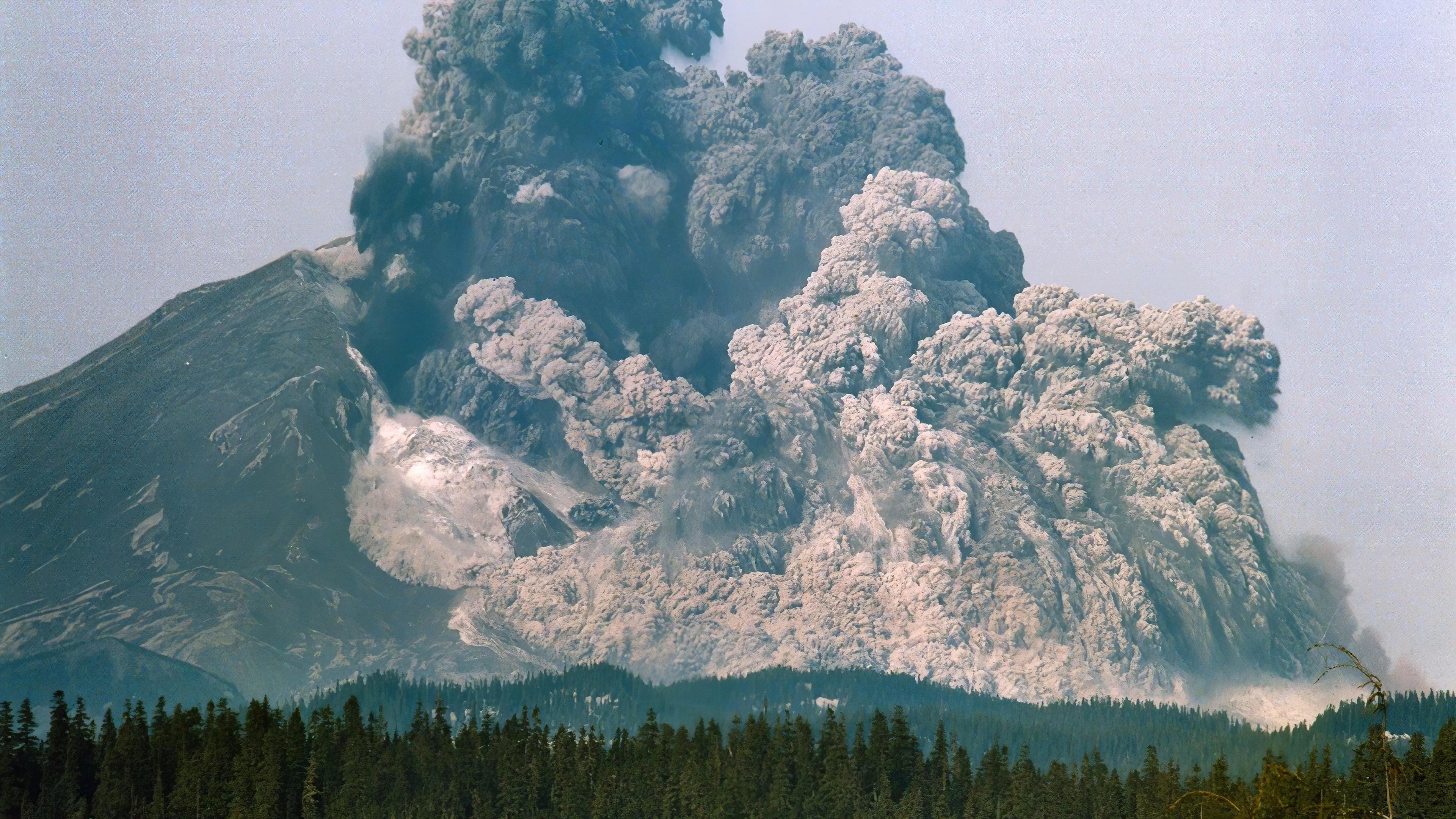 Surviving the Mount St. Helens Disaster backdrop