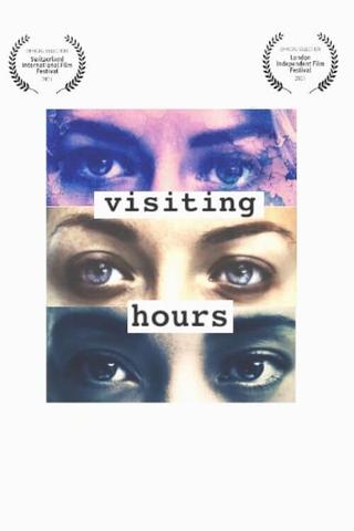 Visiting Hours poster