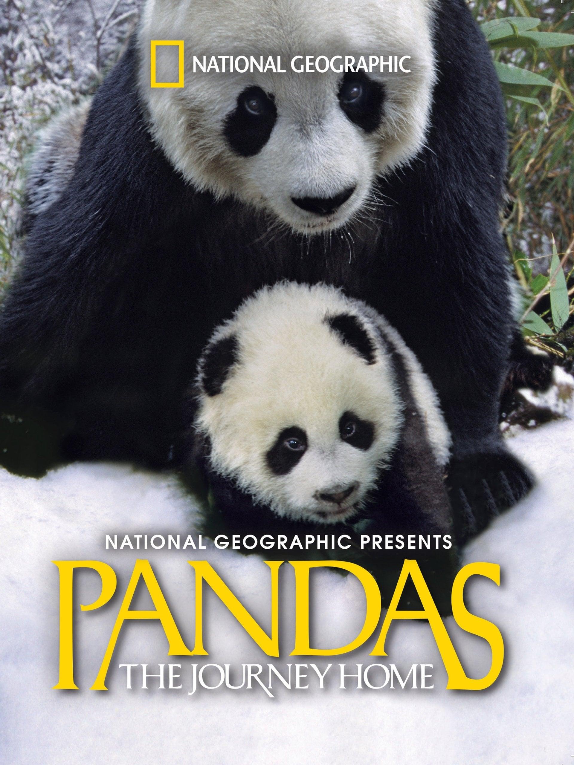 Pandas: The Journey Home poster