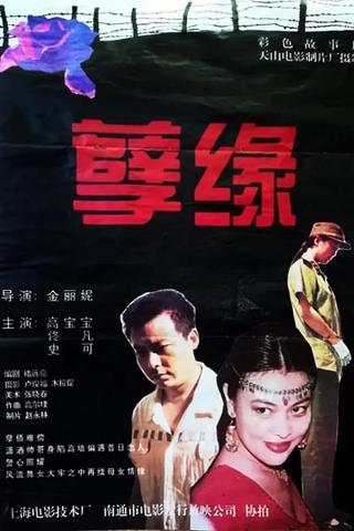 孽缘 poster