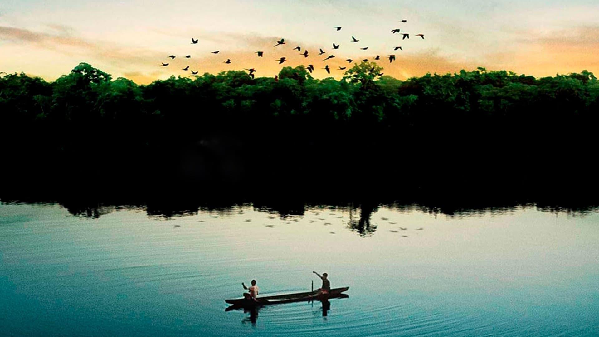 Eternal Amazonia backdrop