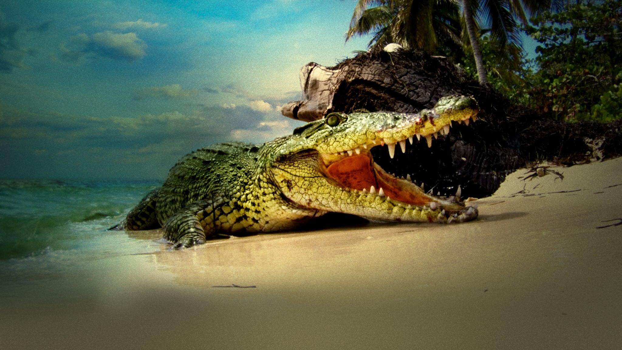 Life and Death in Paradise: Crocs of the Caribbean backdrop