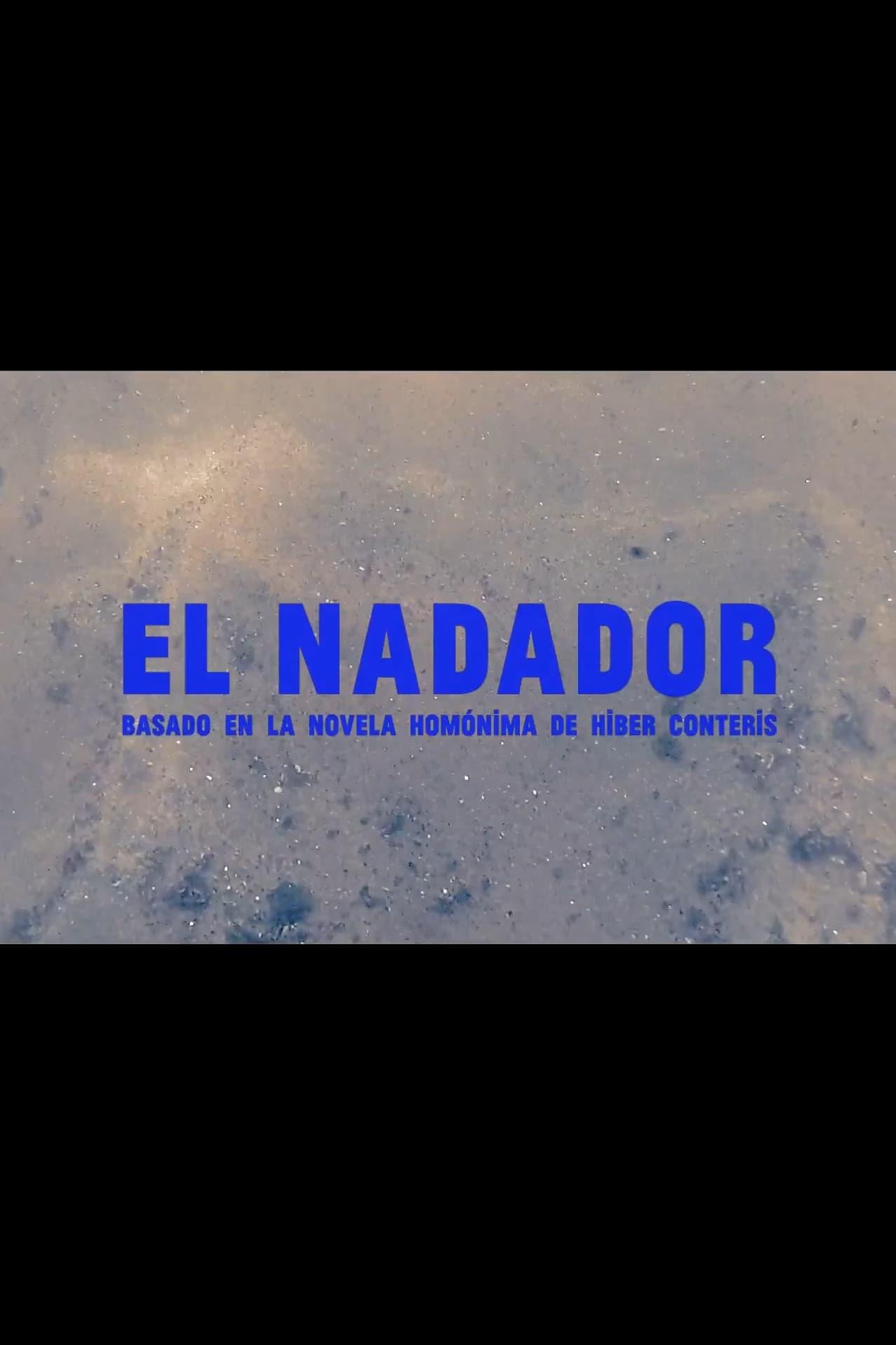 El nadador poster