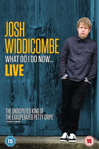 Josh Widdicombe: What Do I Do Now... poster