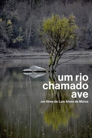 Um Rio Chamado Ave poster