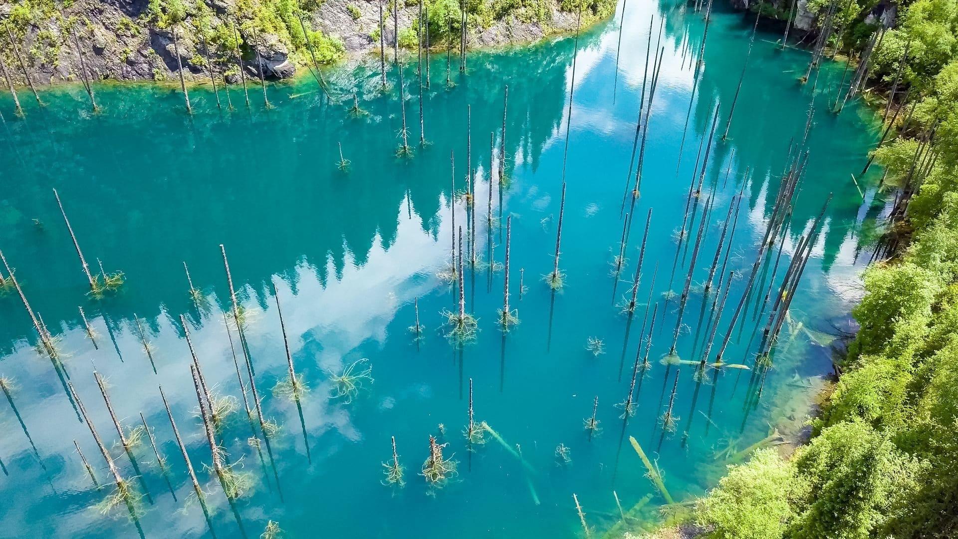 Merveilles de la nature backdrop