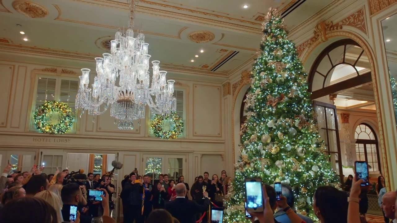Christmas in New York: Inside the Plaza backdrop