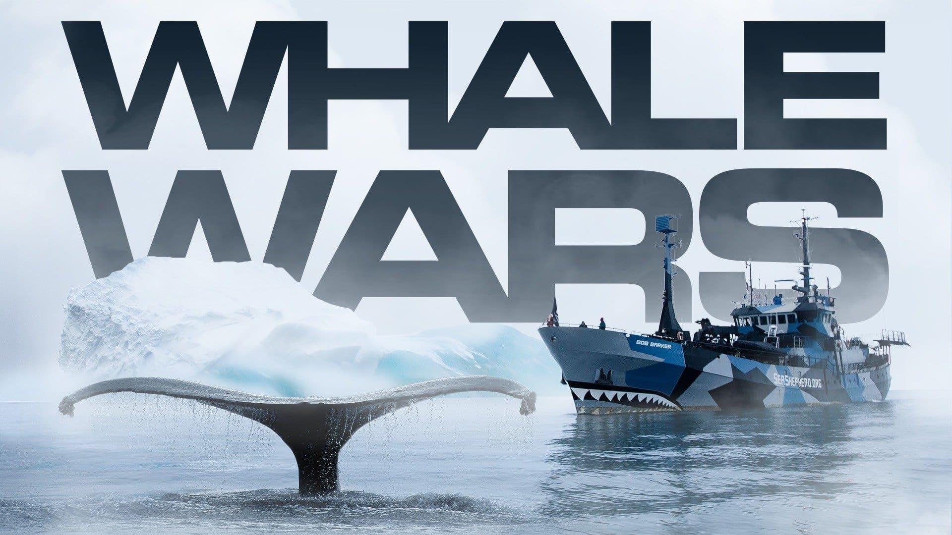 Whale Wars backdrop
