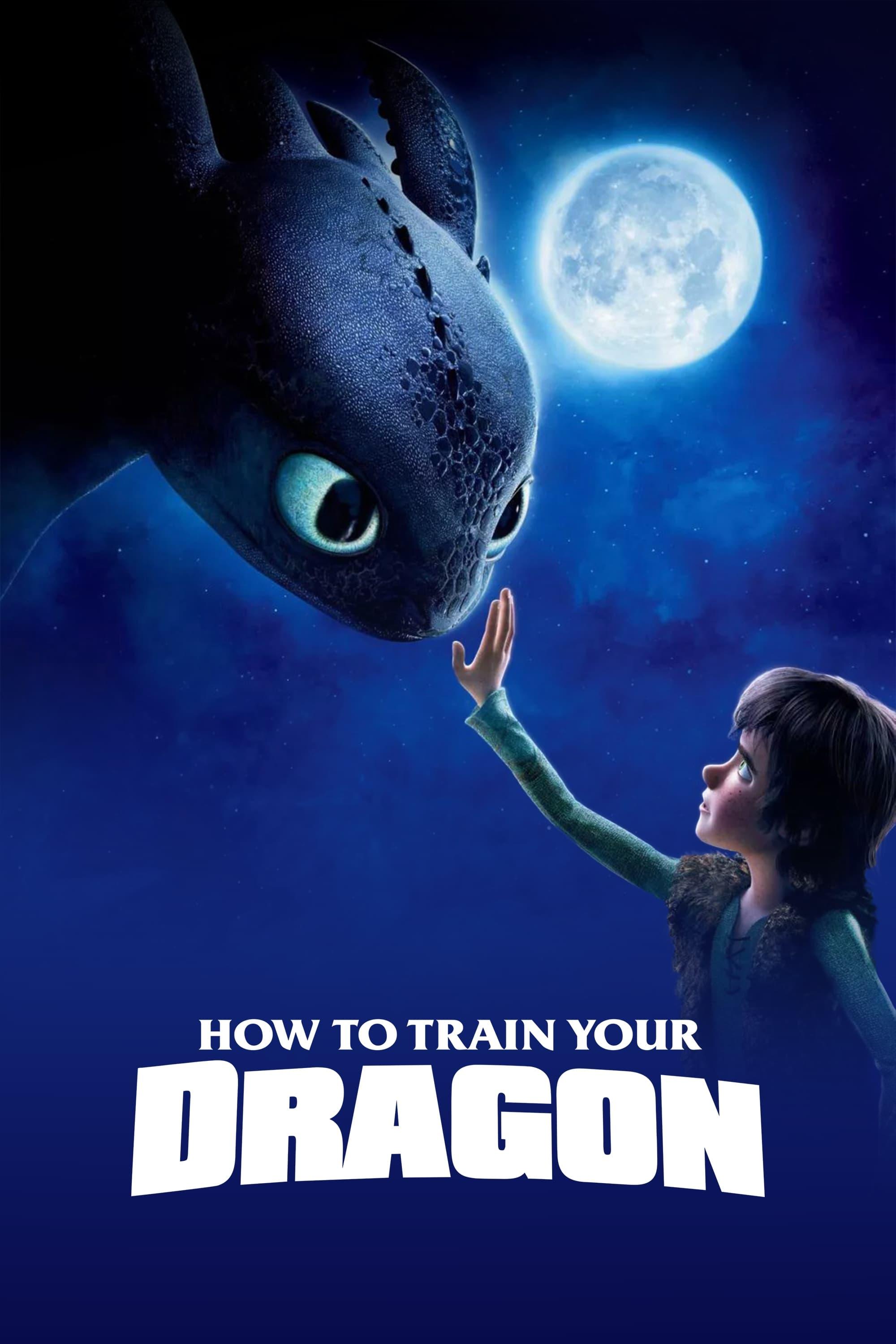 How to Train Your Dragon poster