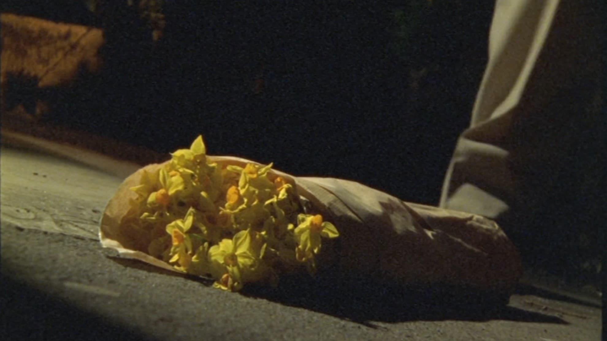 The Man Who Loved Flowers backdrop