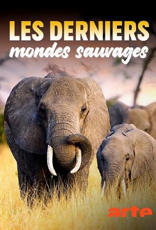 Les Derniers Mondes Sauvages poster