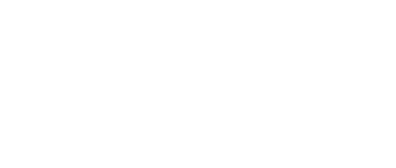 The Night Crew logo