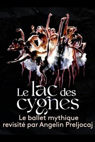 Le lac des cygnes au théâtre national de Chaillot poster