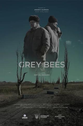 Grey Bees poster