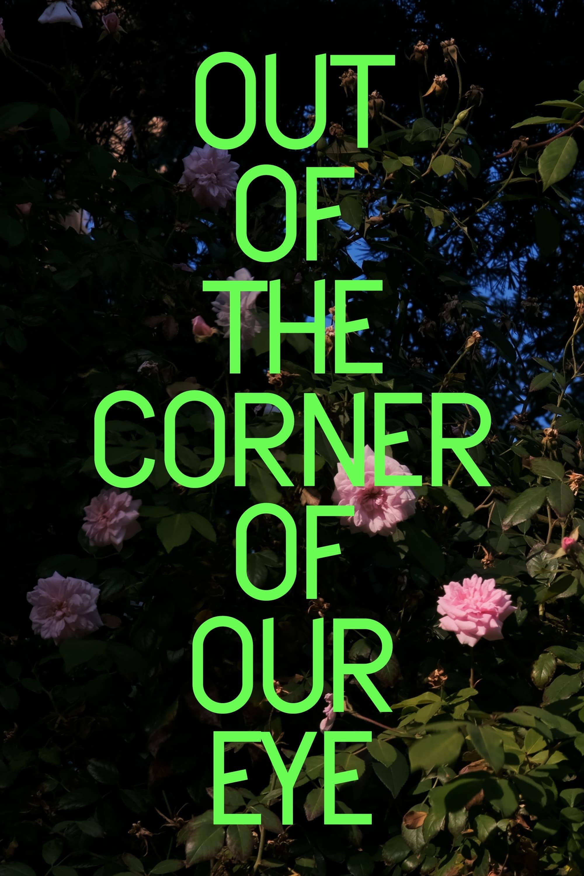 Out of the Corner of Our Eye poster