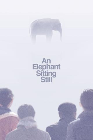 An Elephant Sitting Still poster