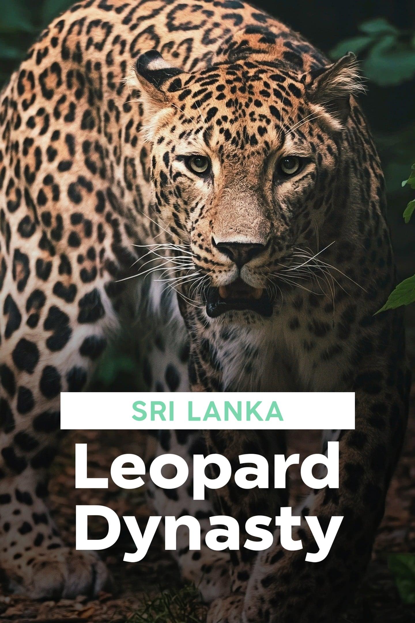 Sri Lanka: Leopard Dynasty poster