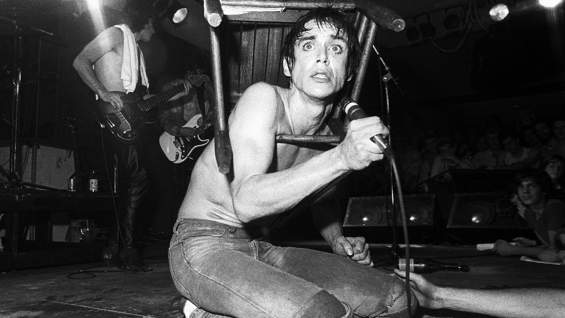 Iggy Pop: Live San Fran 1981 backdrop