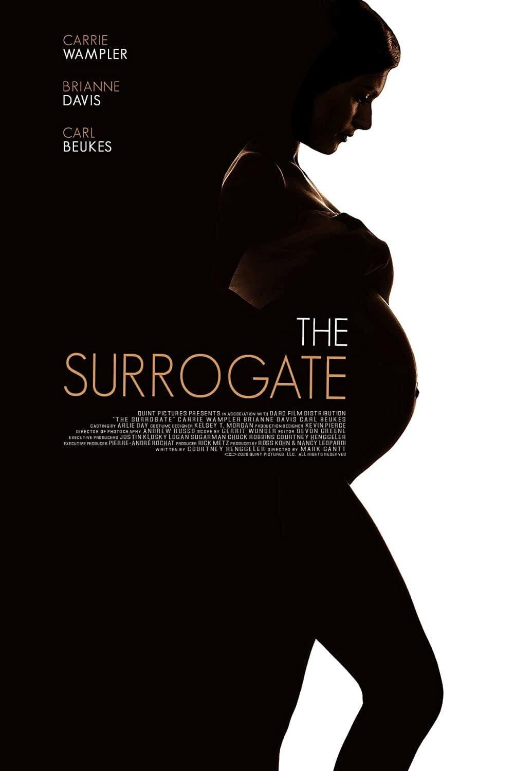 Secret Life Of A Celebrity Surrogate poster