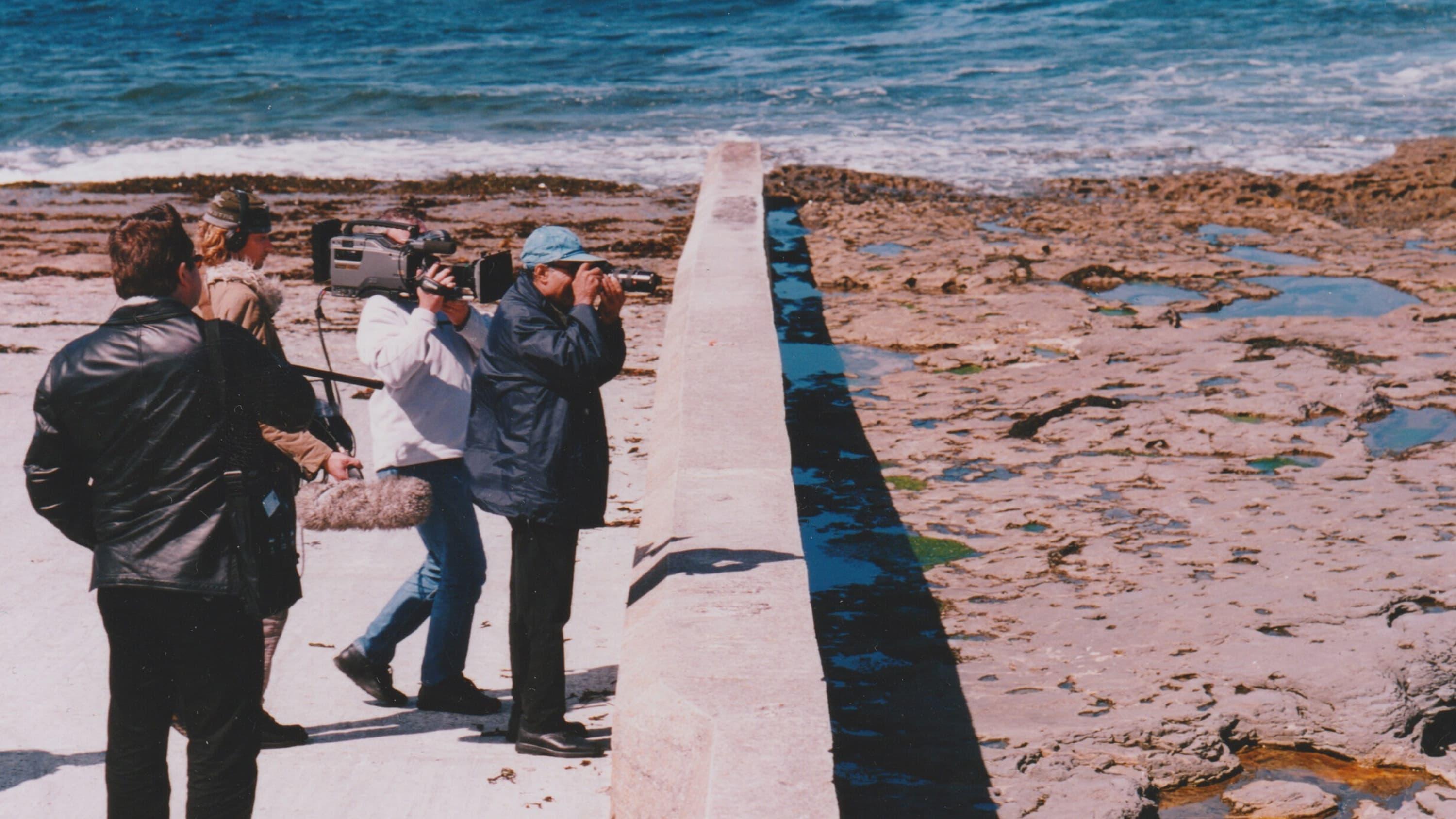 The Mirror of Possible Worlds: Kiarostami on Aran backdrop