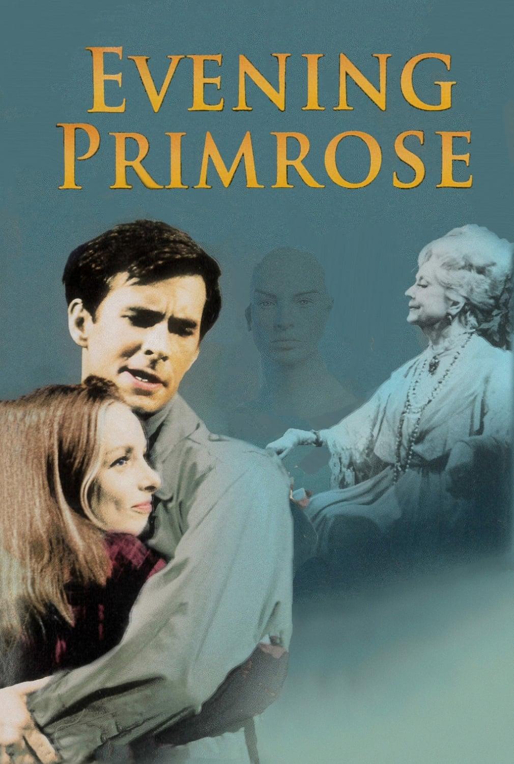 Evening Primrose poster