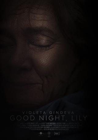 Good Night, Lily poster