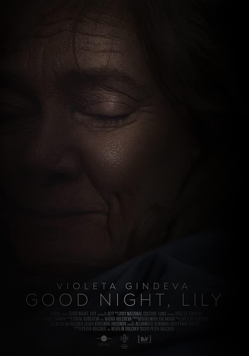 Good Night, Lily poster