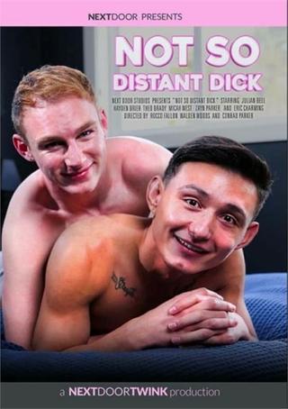 Not So Distant Dick poster