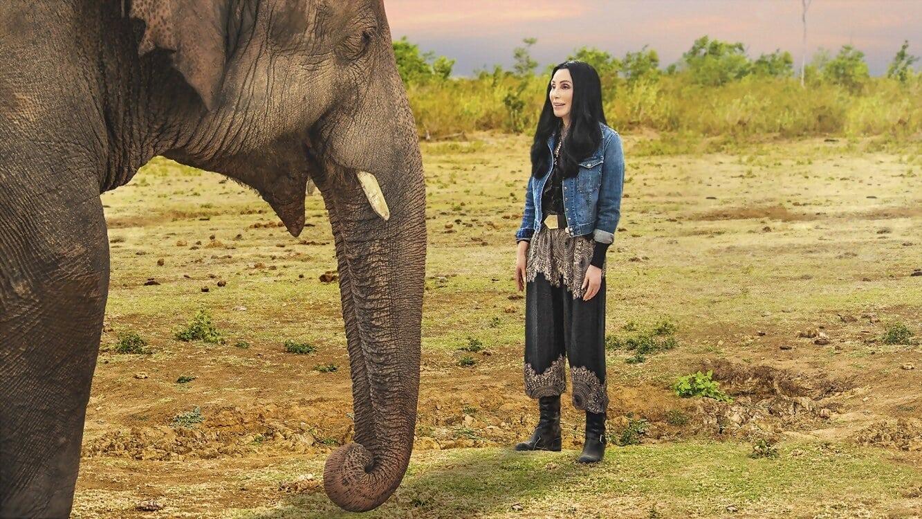 Cher & the Loneliest Elephant backdrop