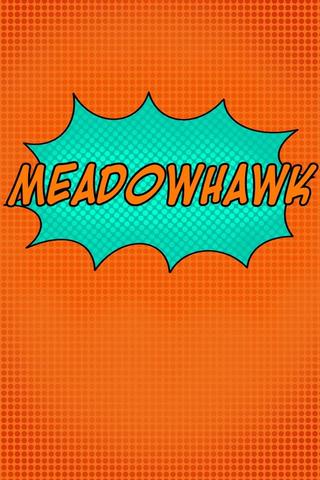 Meadowhawk poster