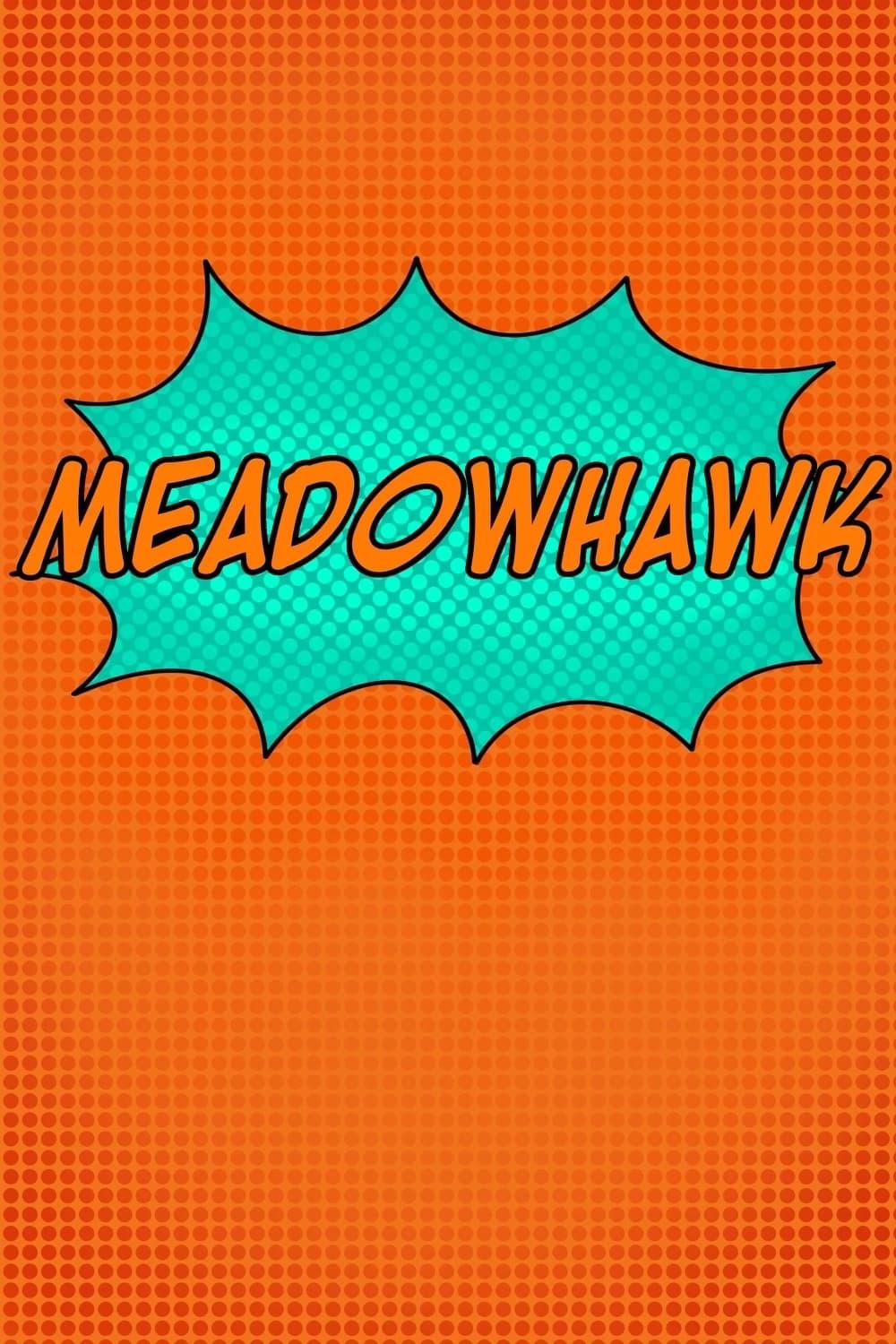 Meadowhawk poster