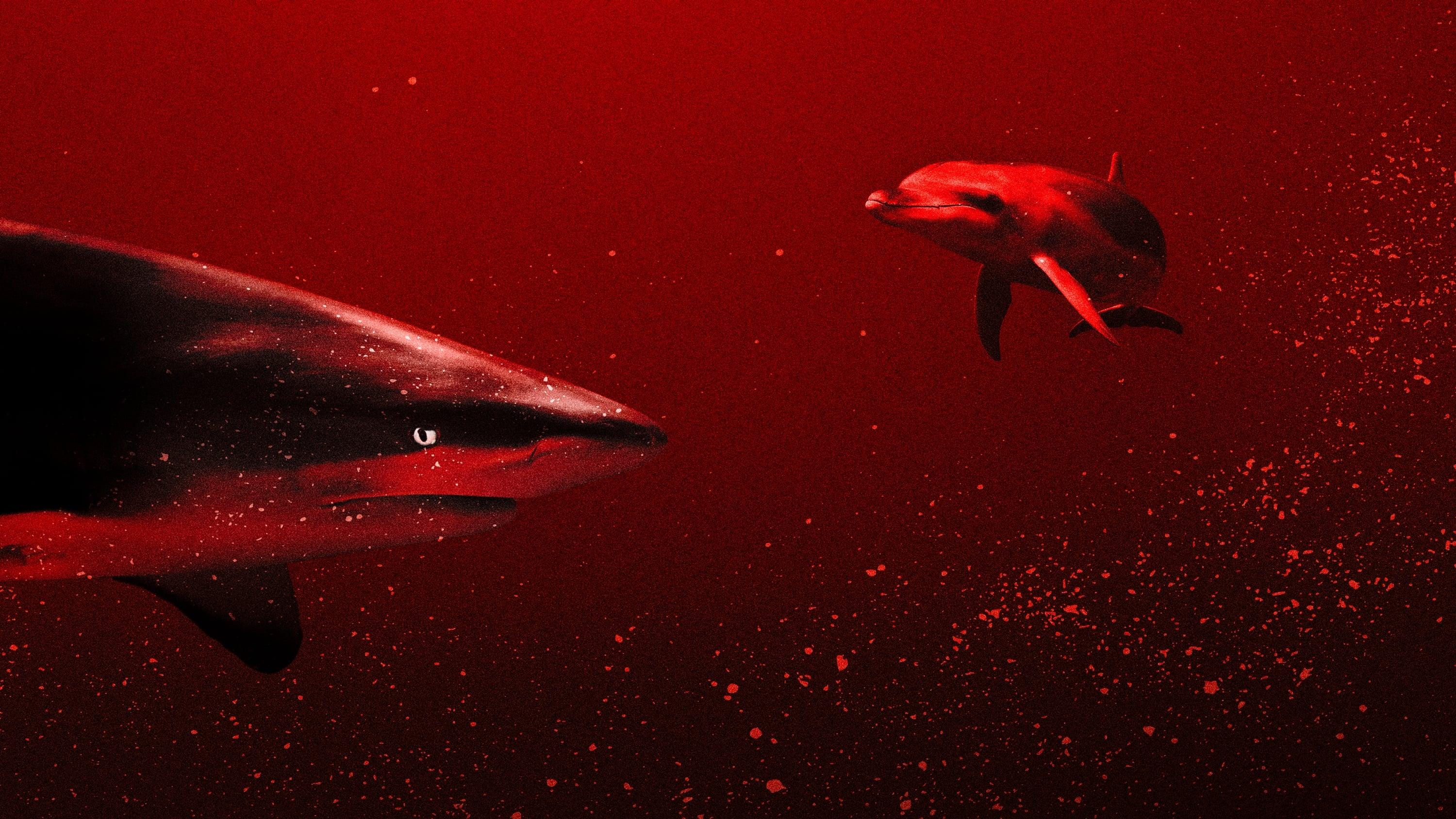 Sharks vs. Dolphins: Blood Battle backdrop