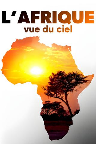 L'Afrique vue du ciel poster